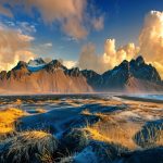 Aenean scelerisque elit